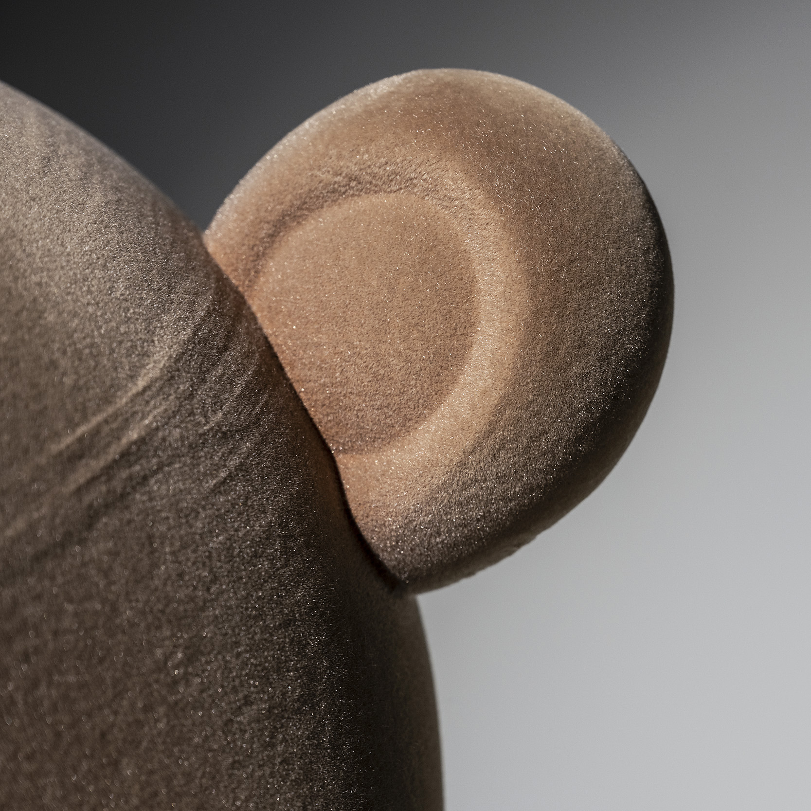 ear square